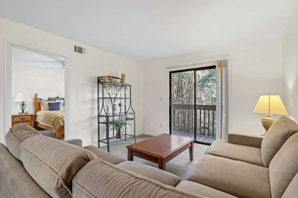 Living room area at Treehouse Village in Gainesville, Florida 