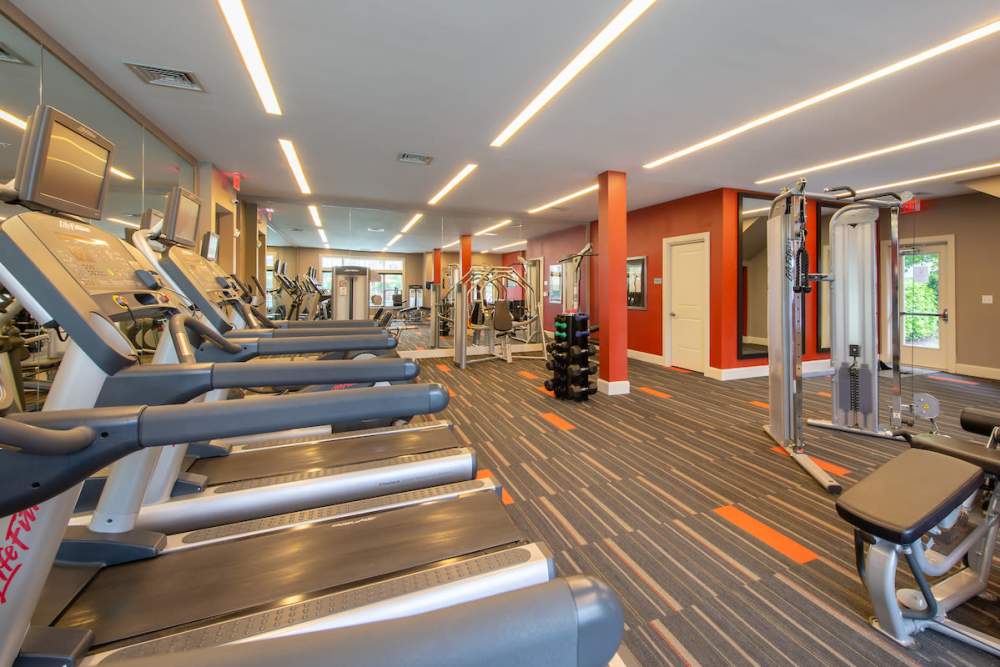 Well-equipped fitness center at The Elms at Clarksburg Village in Clarksburg, Maryland