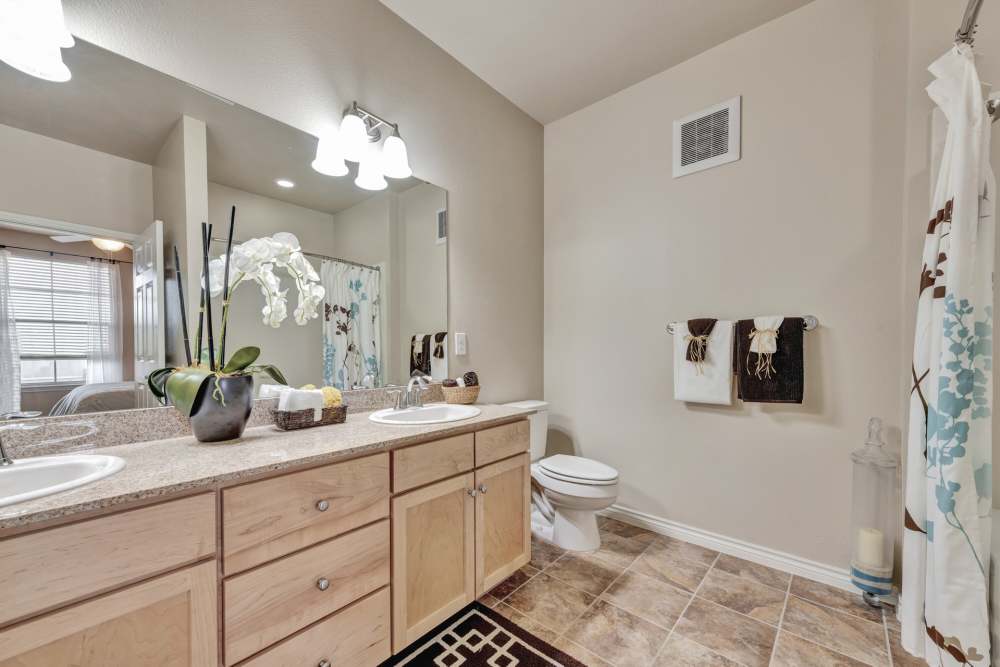 Bathroom at Renaissance At North Park in Lubbock, Texas