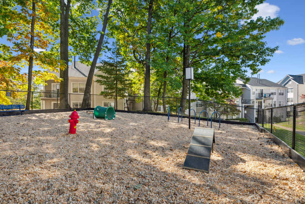 Onsite dog park at Knoll at Fair Oaks in Fairfax, Virginia