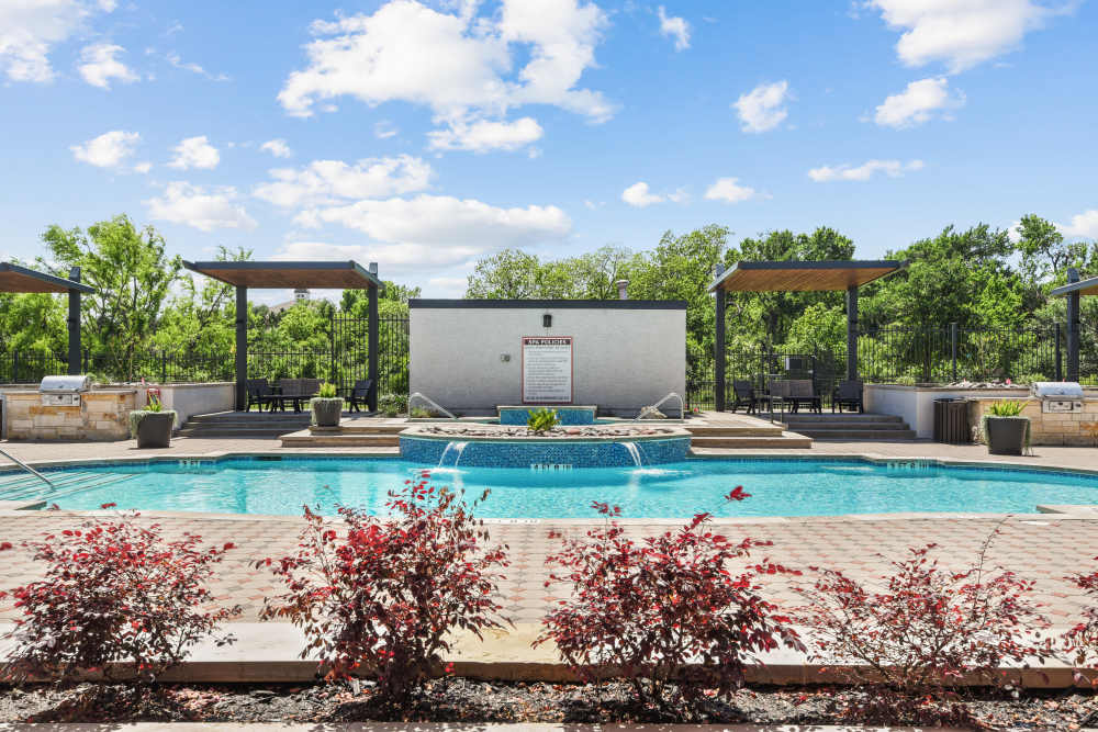 View of the pool with small plants at Milan in Austin, Texas