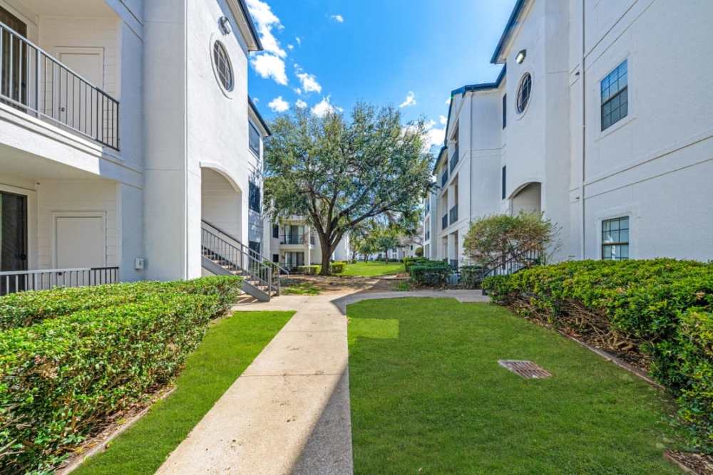 Lots of green lawn and walking paths in the community at Benton in Dallas, Texas, 