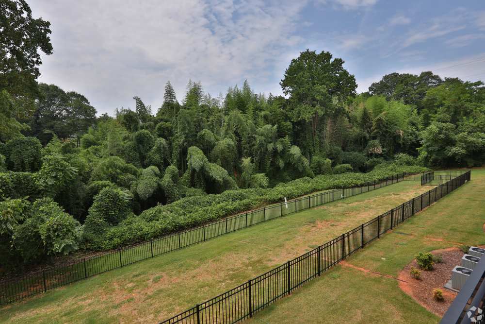 Dog Park at South Ridge in Greenville, South Carolina  