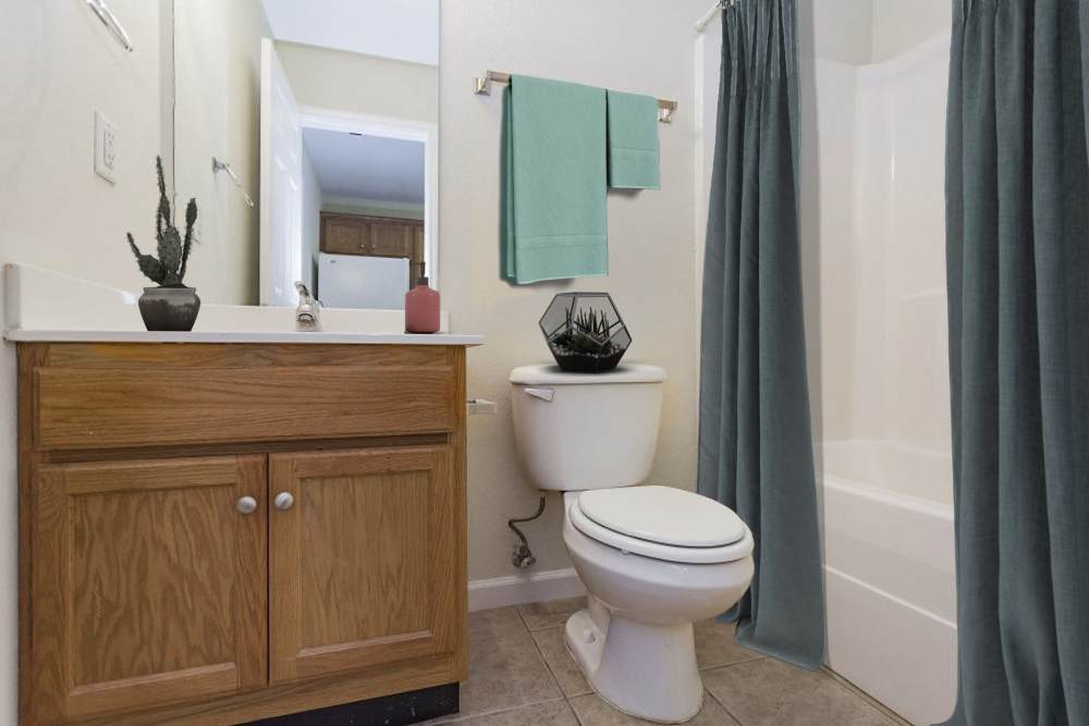 Bathroom with a vanity at Home Place Apartments in East Ridge, Tennessee