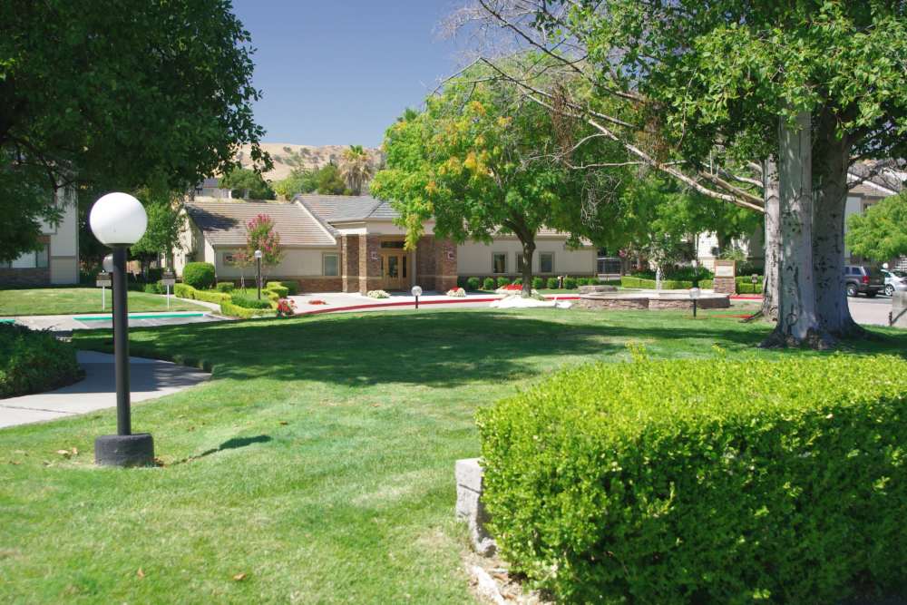 Lush greenery at Twin Creeks in Antioch, California