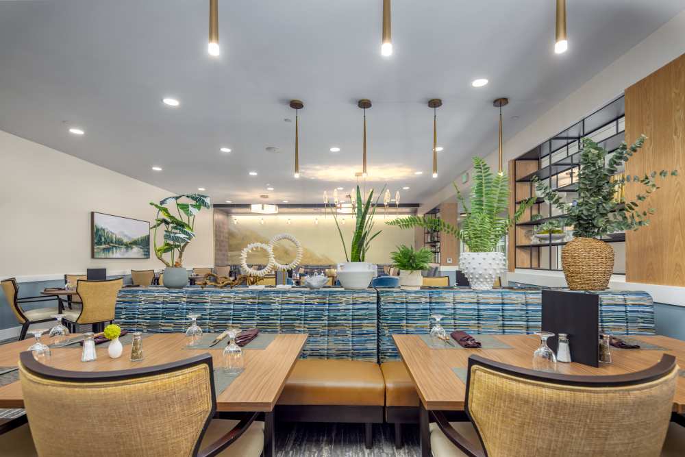 Cafe Dining room 2 at Clearwater Beaverton in Beaverton, Oregon