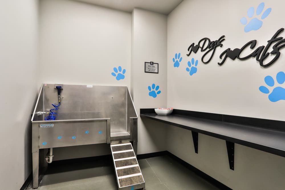 Dog spa at Residences at The Streets of St. Charles Apartment Homes in Saint Charles, Missouri