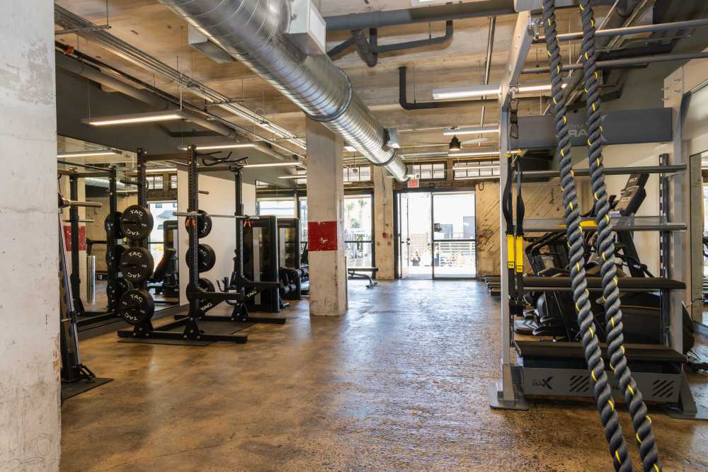 Fitness gym amenity with cardio and weightlifting equipment at Union Terminal Warehouse in Jacksonville, Florida