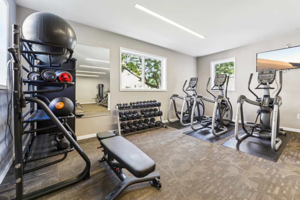 Fitness center at The Elms at Centreville in Centreville, Virginia, 
