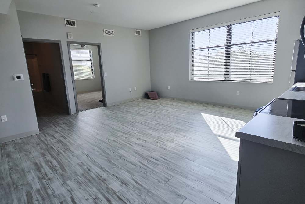 spacious living area in a contemporary apartment at Leo and Alpine in Grand Rapids, Michigan