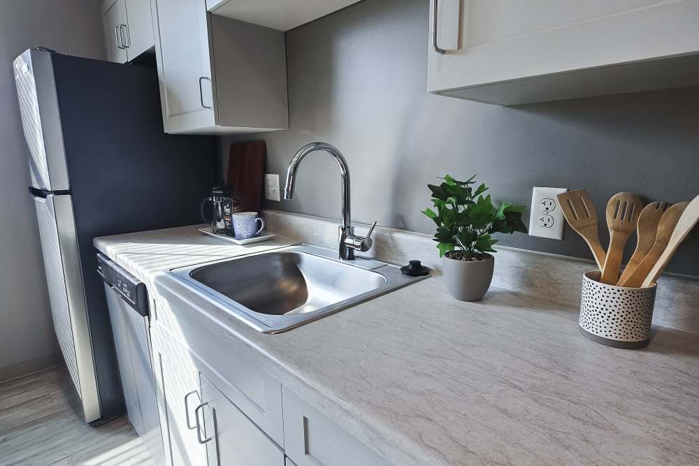 Modern finishes in an apartment kitchen at Leo and Alpine in Grand Rapids, Michigan