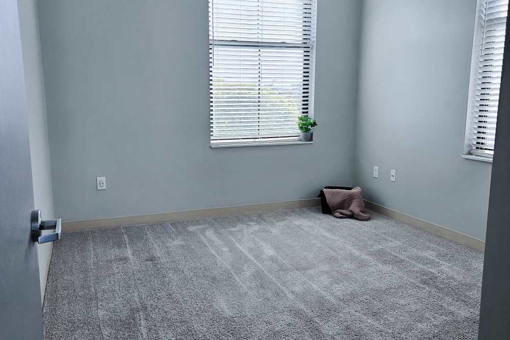 spacious bedroom at Leo and Alpine in Grand Rapids, Michigan