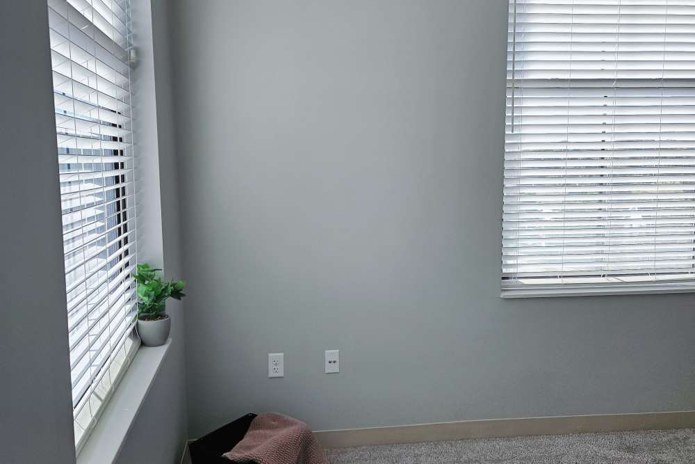 spacious bedroom at Leo and Alpine in Grand Rapids, Michigan