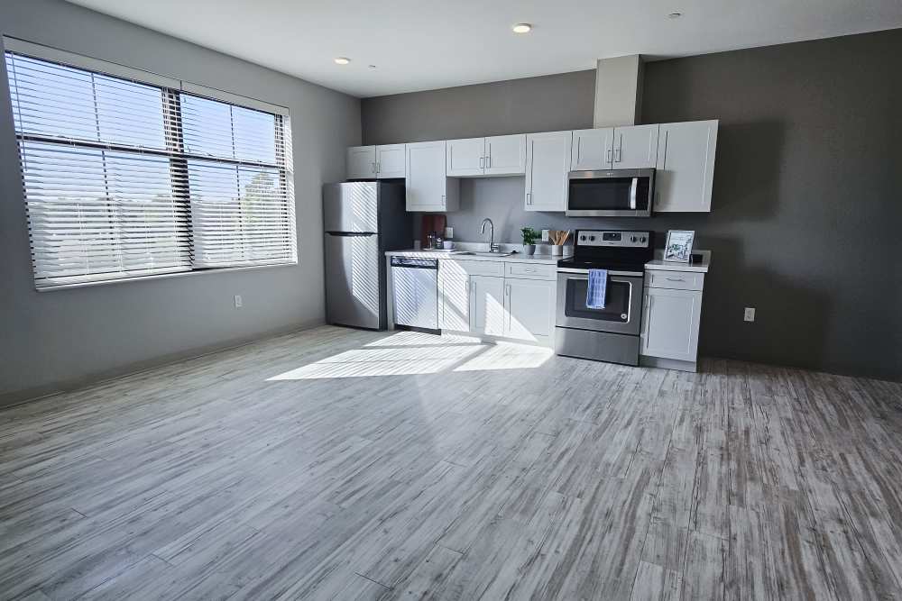 Open Concept living area at Leo and Alpine in Grand Rapids, Michigan
