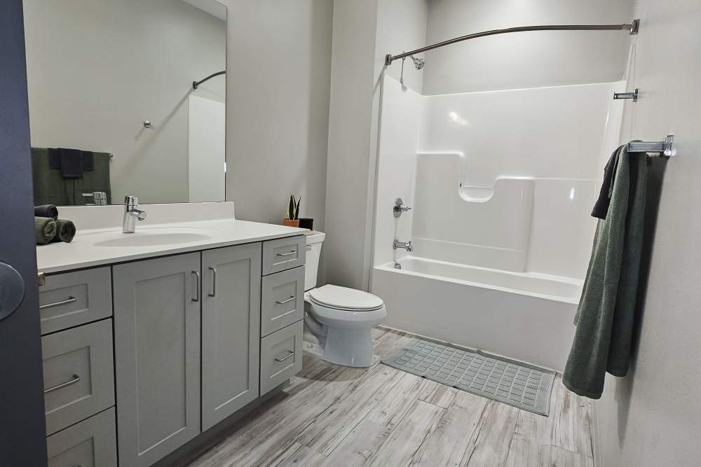 spacious bathroom at Leo and Alpine in Grand Rapids, Michigan