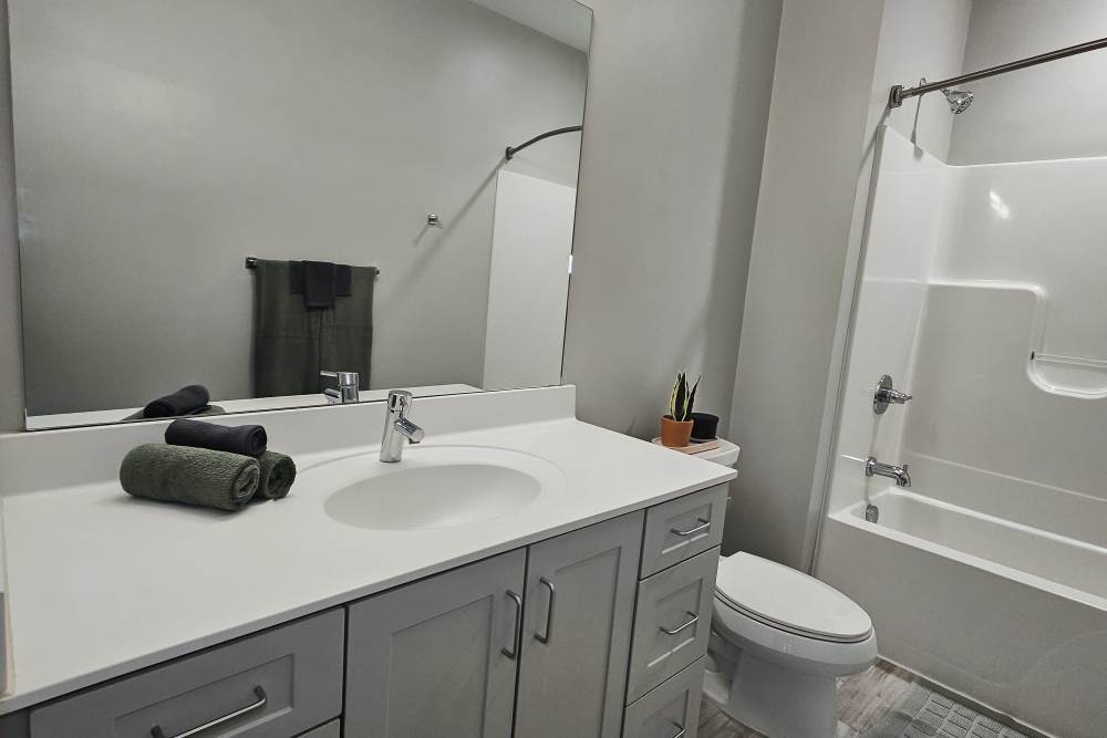 spacious bathroom at Leo and Alpine in Grand Rapids, Michigan