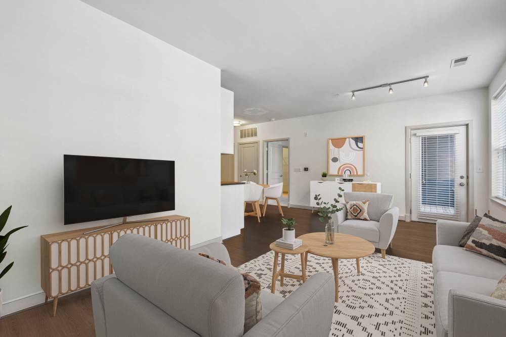 Living Room with Television