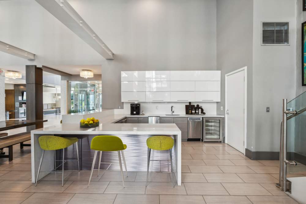 Common Area-Kitchen