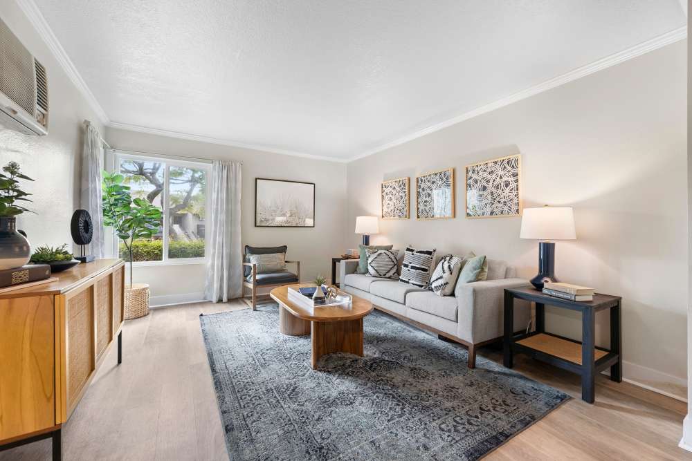 Cozy living room with modern furnishings, natural light, and decorative accents at Sofi Laguna Hills in Laguna Hills, California