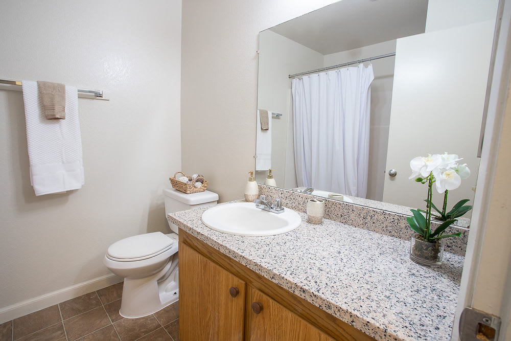 Bathroom at Walnut Apartments in Santa Rosa, California