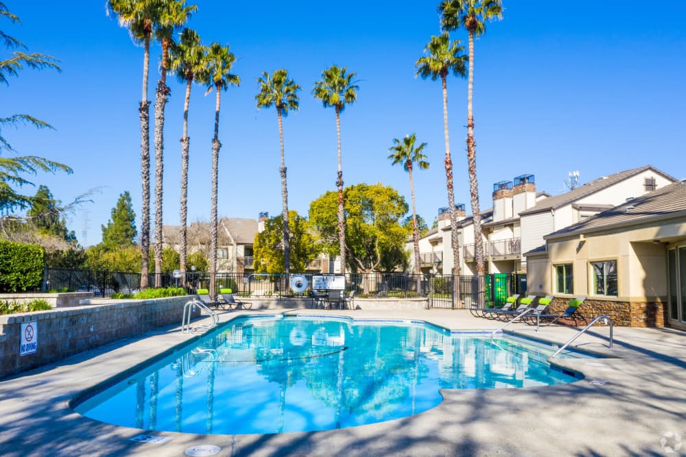 Swimming pool surrounded by palm trees at Twin Creeks in Antioch, California