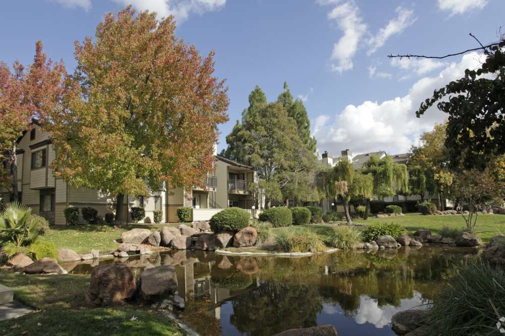 Pond outside of Twin Creeks in Antioch, California