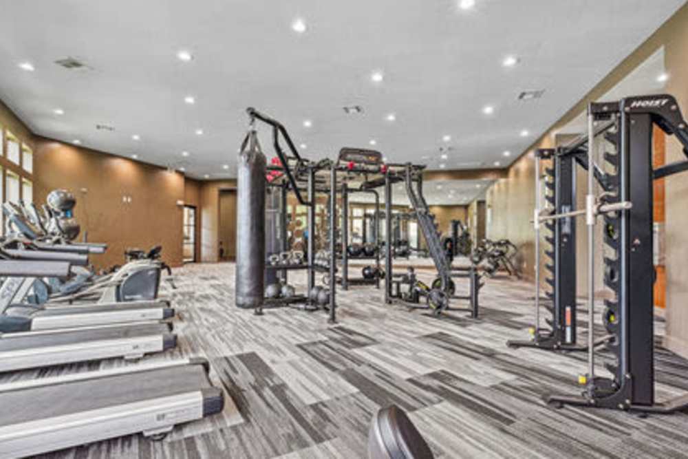 Well-equipped fitness center at Barron Park in Pearland, Texas