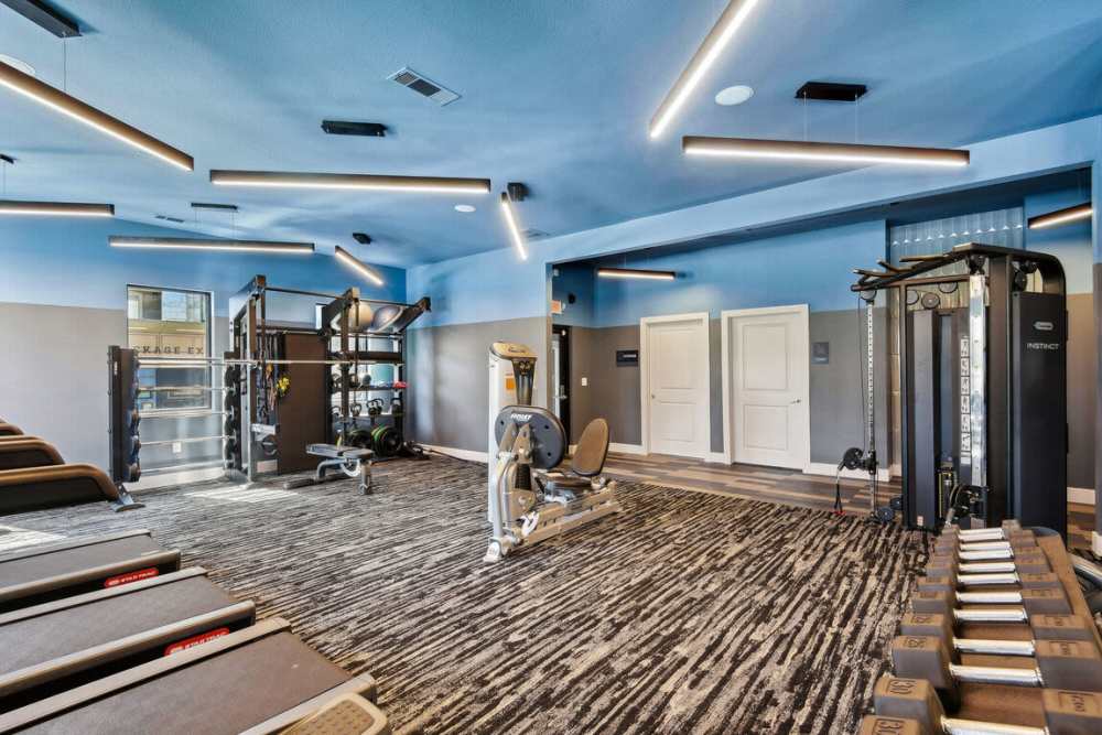 Collier in Pflugerville, Texas
