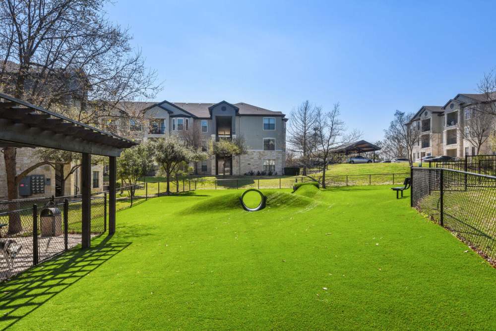 Collier in Pflugerville, Texas