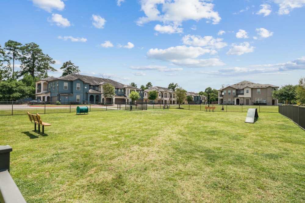 Lush green community at Seagrove in Conroe, Texas