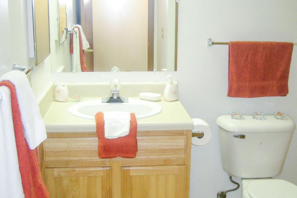 Bathroom with mirror at Mayville Apartments in Mayville, Michigan