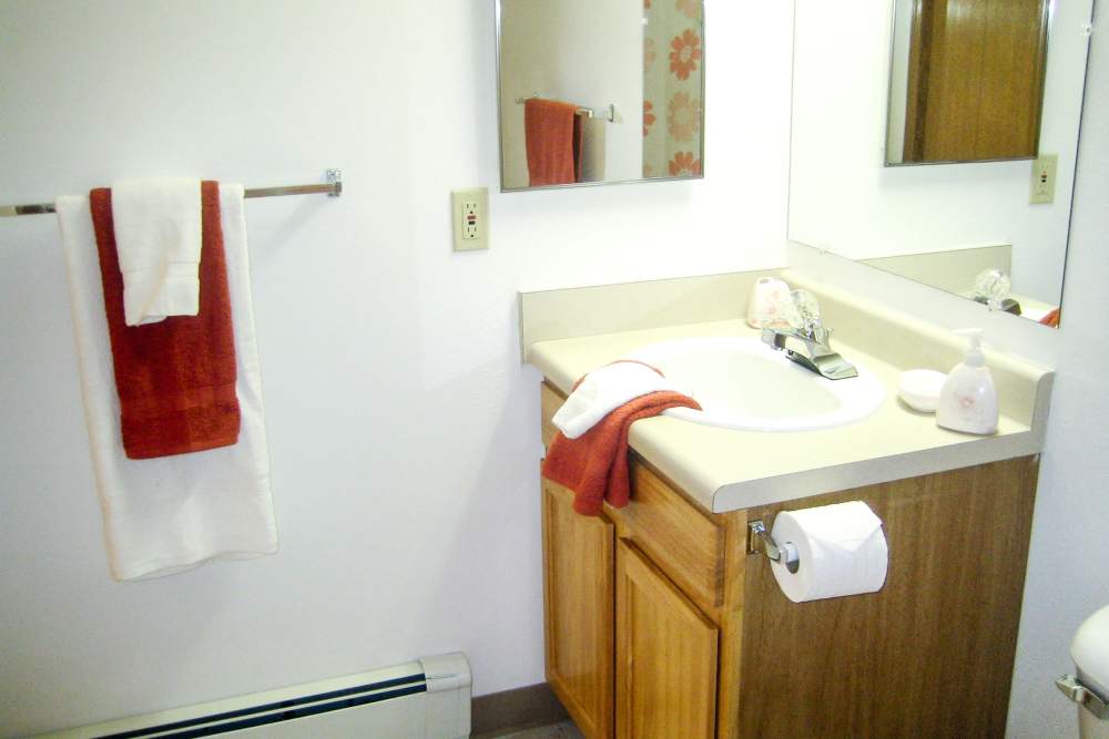 Bathroom at Mayville Apartments in Mayville, Michigan