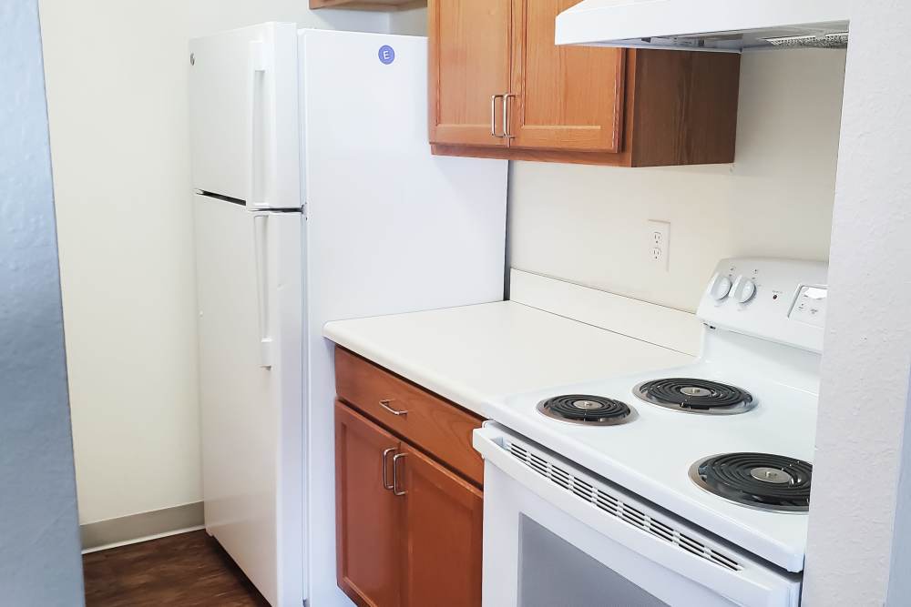 Appliances in a modern kitchen at Mapleview Apartments in Maple Rapids,