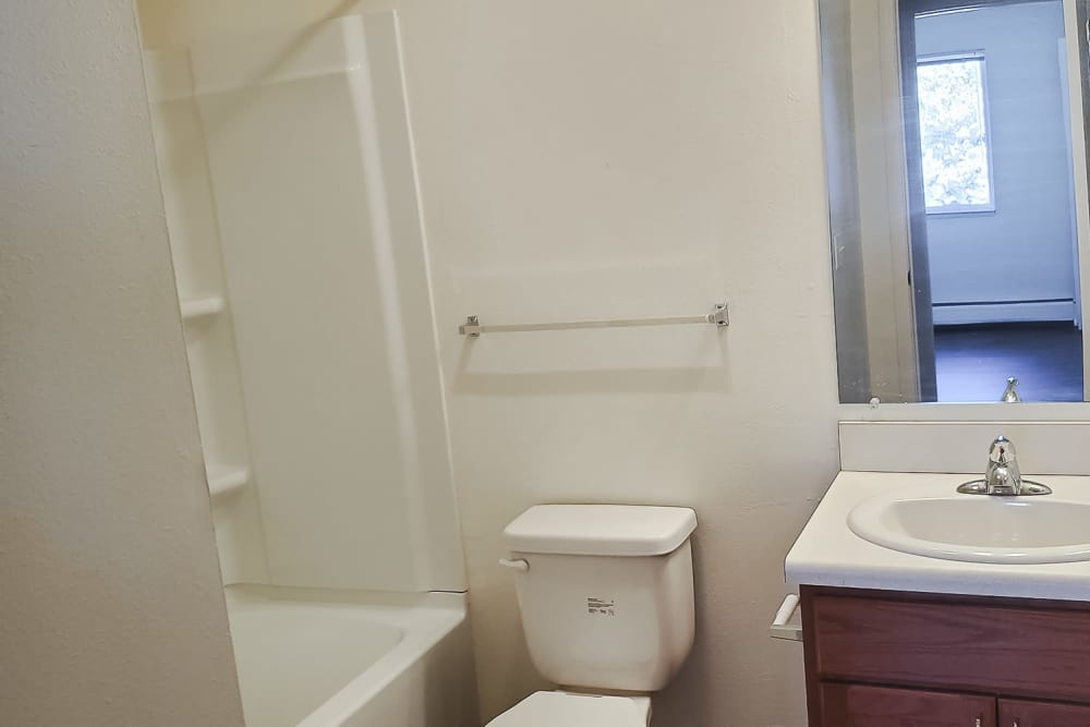 Bathroom with a counter at Mapleview Apartments in Maple Rapids,