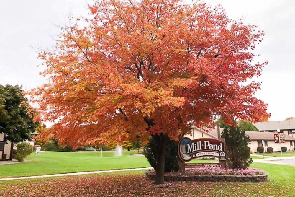 Front entrance sign at Mill Pond Apartments (Buchanan) in Buchanan, Michigan