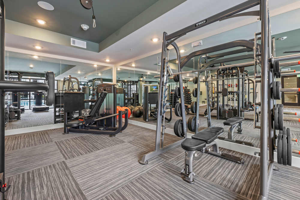 A weightlifting bench and weights in the fitness center at The Lowe in Savannah, Georgia