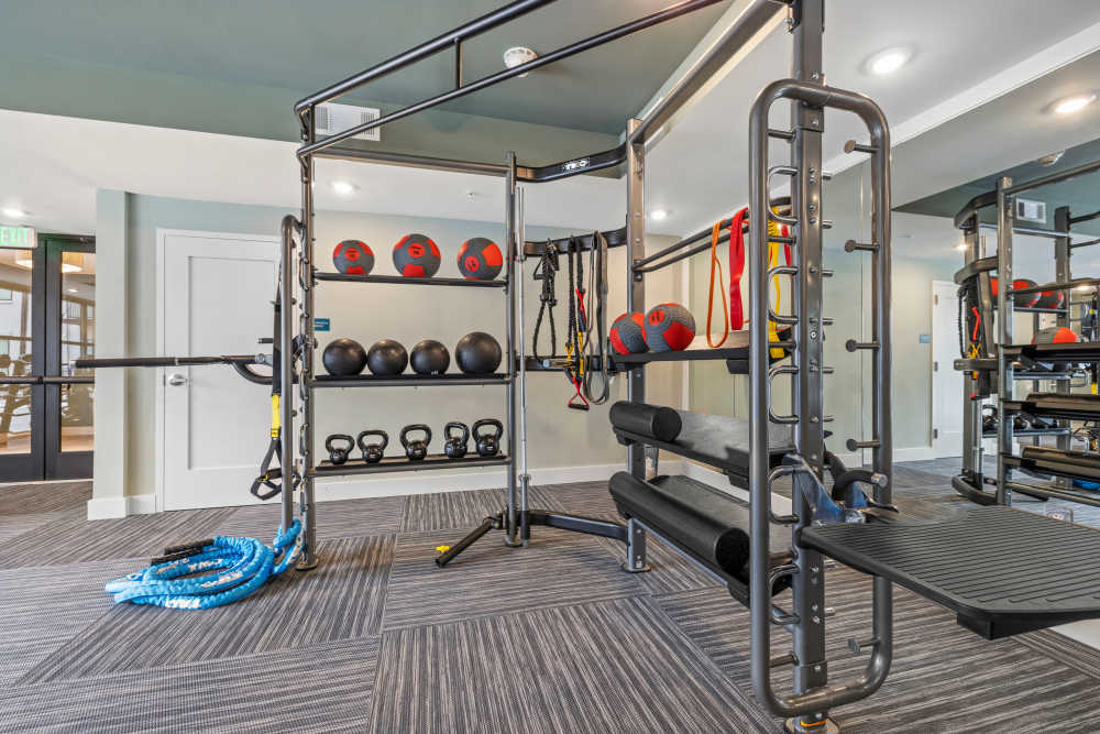 Racks of various weights in the fitness center at The Lowe in Savannah, Georgia