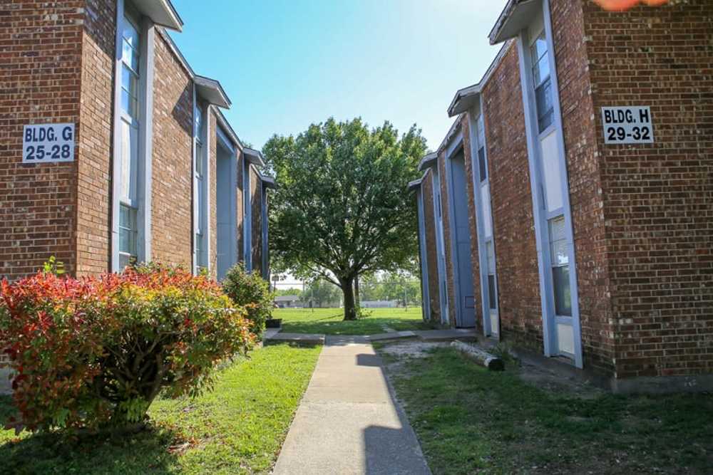 Path leading to the apartment building at Park Ridge in Gainesville, Texas