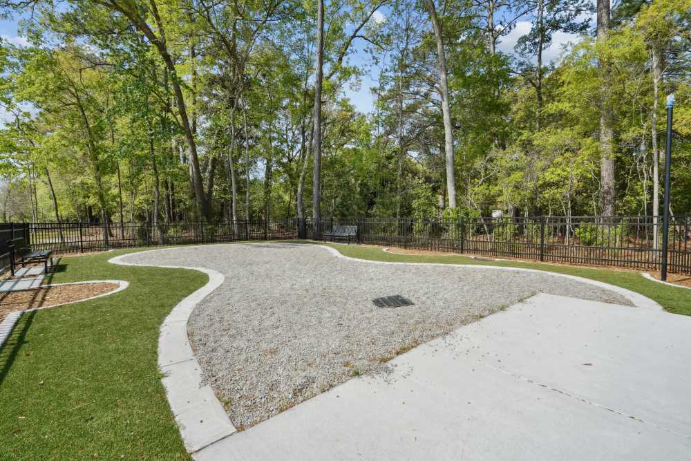 Pathway near Hamlet Barclay West in Wilmington, North Carolina