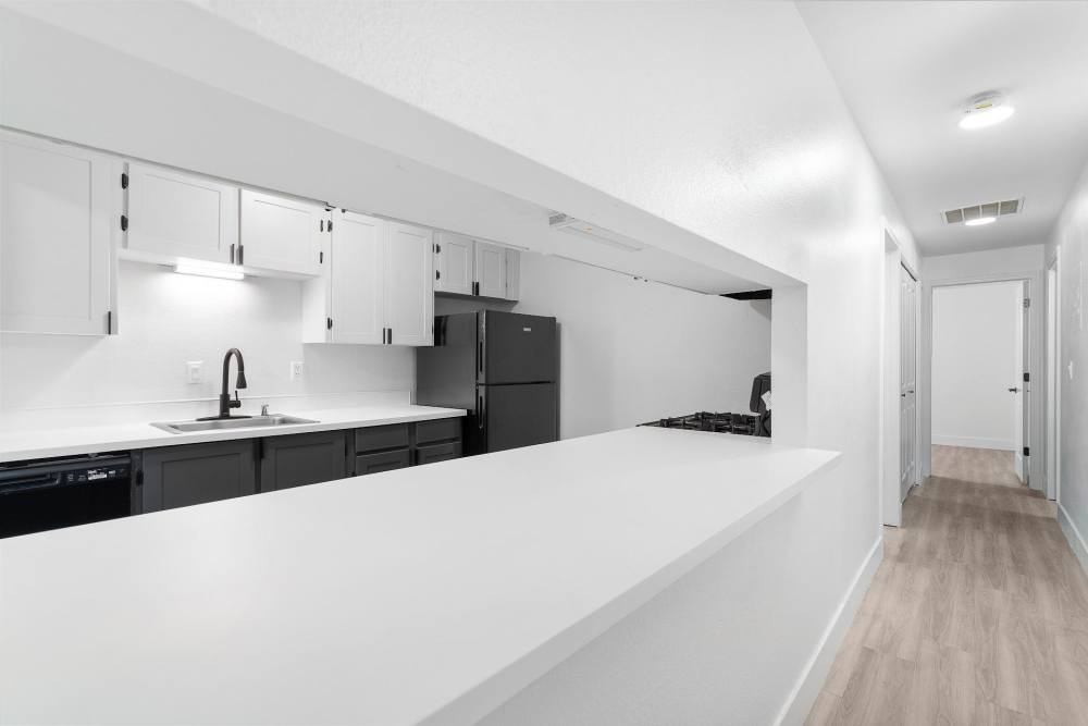 Large counters at The Rosewood Apartments in Vancouver, Washington