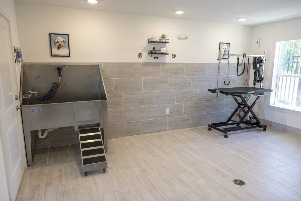 Pet spa at Avion Apartments in Jacksonville, Florida