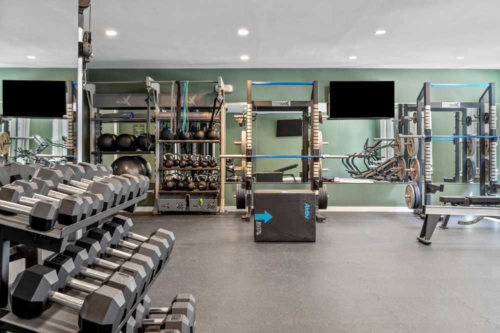 Fitness gym with weight rack at The Alder on Dabney in Richmond, Virginia