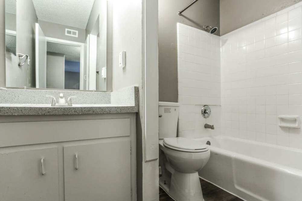 Bathroom at Palatia Apartment Homes in San Antonio, Texas