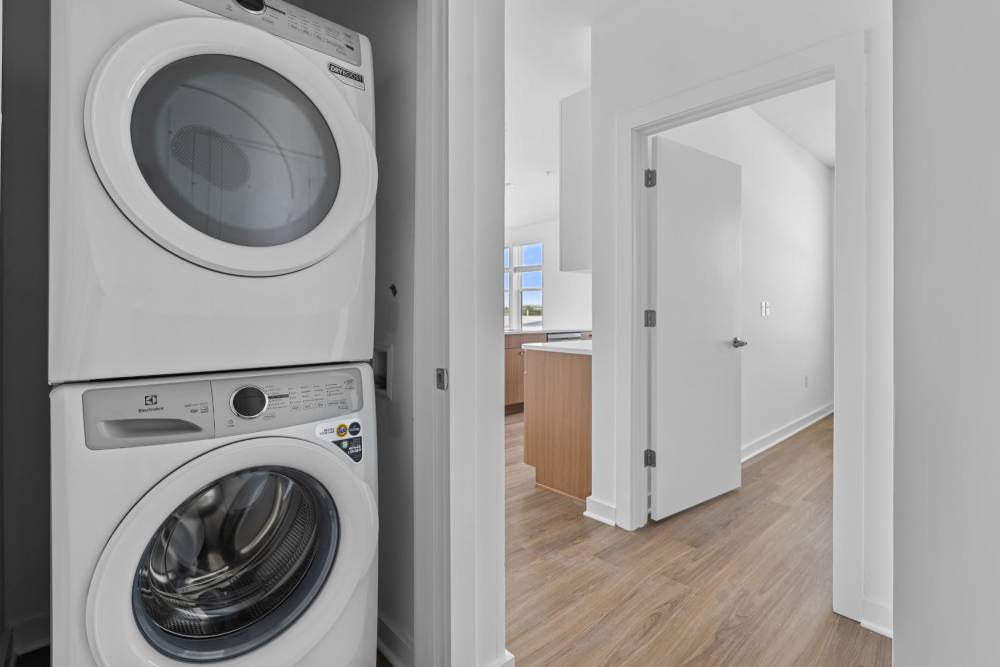 In-home washer and dryer at The Alder on Dabney in Richmond, Virginia