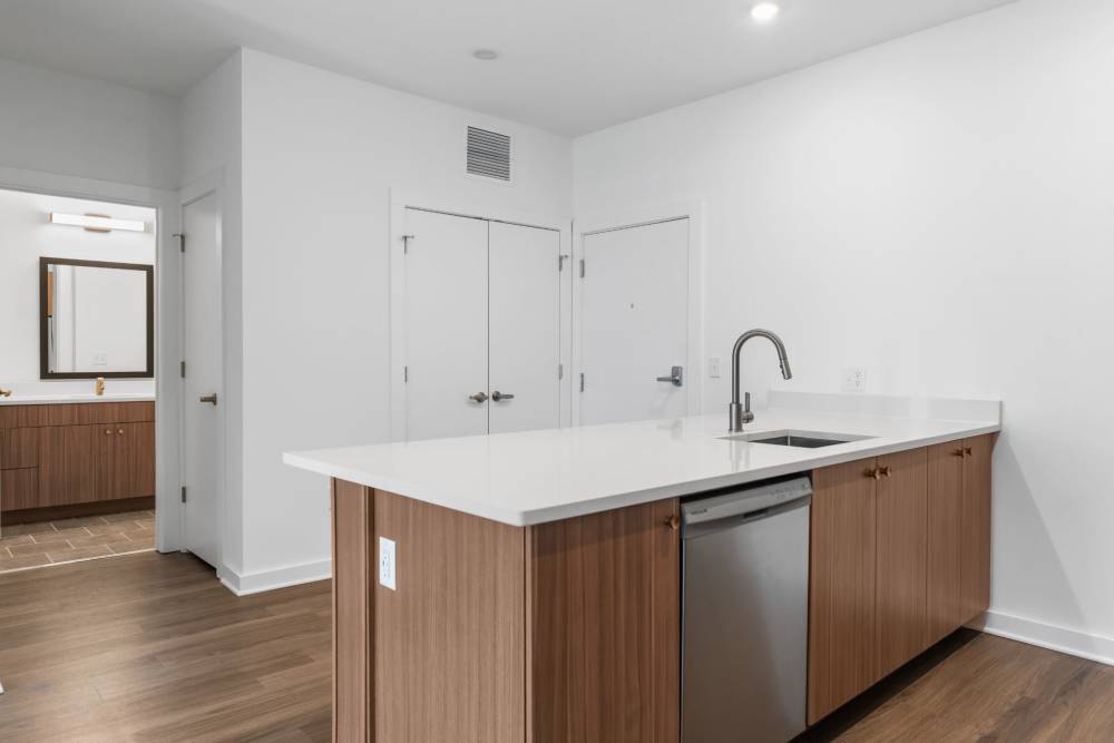 Kitchen with quartz countertop and built-in dishwasher at The Alder on Dabney in Richmond, Virginia