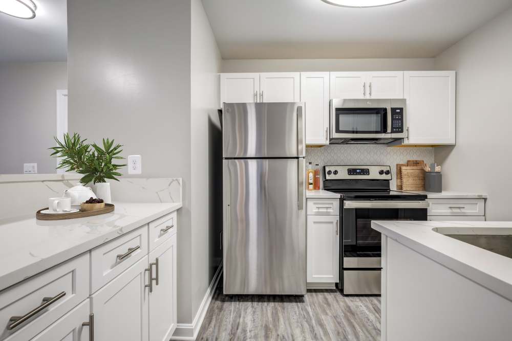 Designer Finishes and Fixtures For Elevated, Everyday Living at Chase Heritage in Sterling, VA