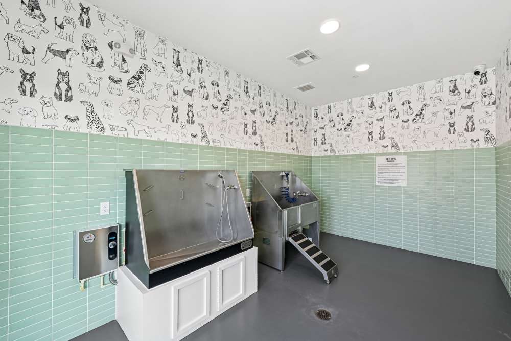 pet washing station