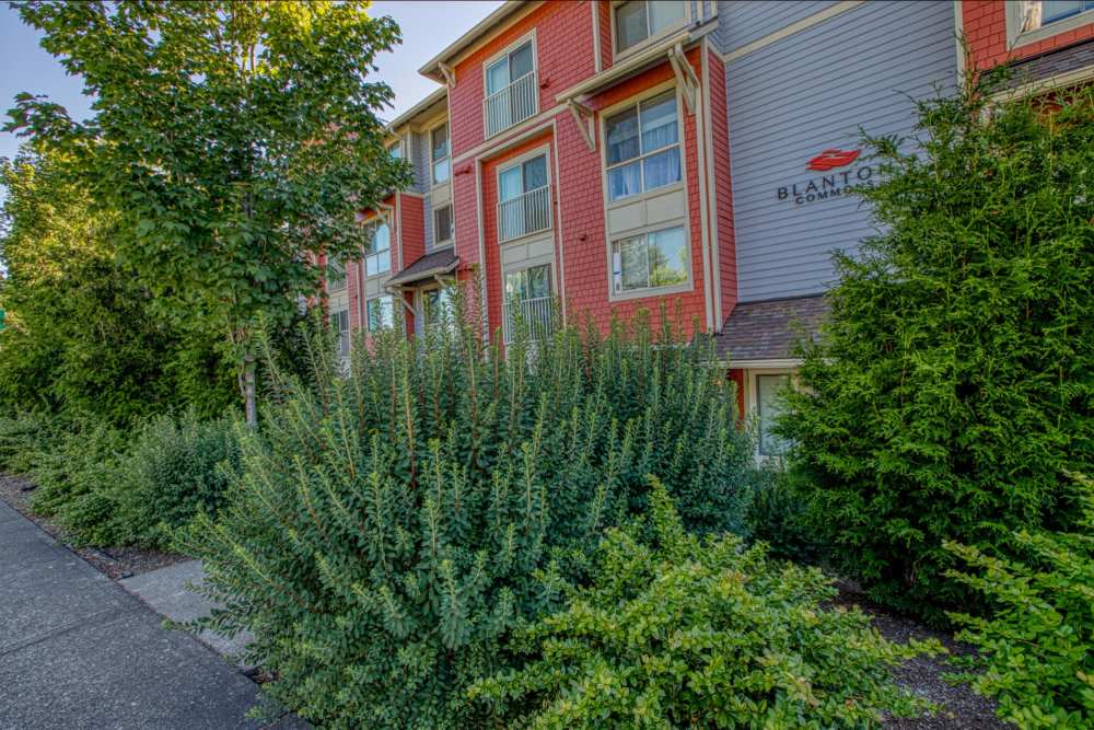 Lush greenery outside of Blanton Commons in Beaverton, Oregon