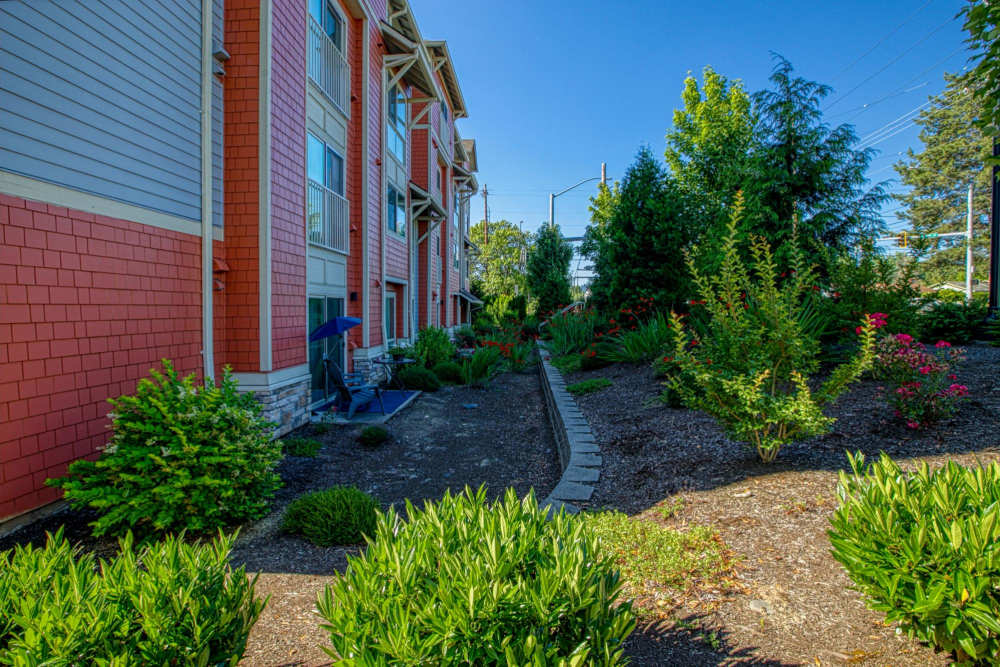 Clean landscaping outside of Blanton Commons in Beaverton, Oregon