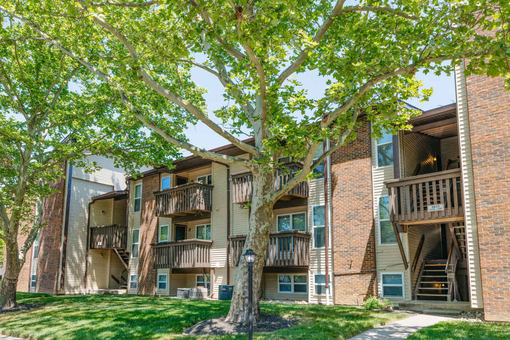 Exterior view of the apartment building with trees all around at Eden at Jefferson Crossing in Columbus, Ohio